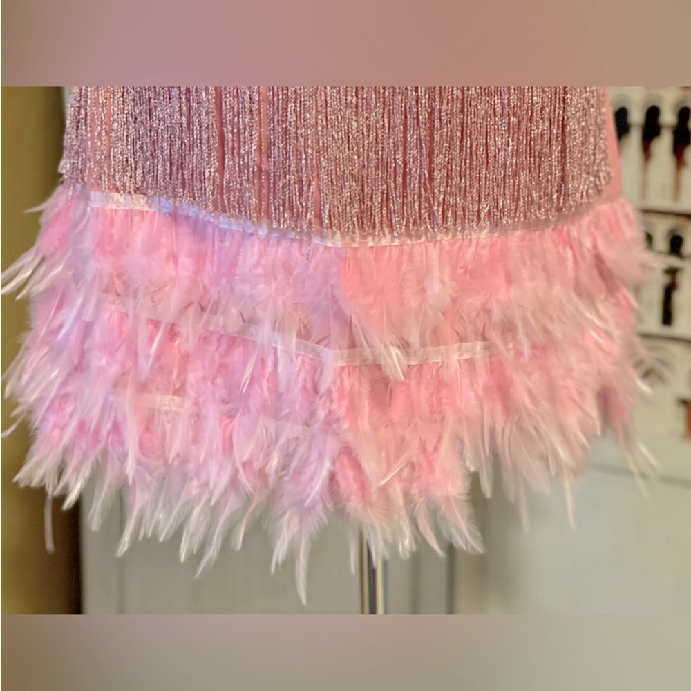 Ballerina Pink Sexy Fringe Feather Skirt Set With Tassles, 2 Piece Set - Picture 8 of 8